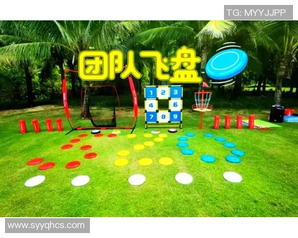 飞盘盛宴：深入了解西安飞盘队的实力与魅力